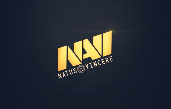 Команда, na'vi, team, Counter-Strike, NaVi, NATUS VINCERE, 1.6
