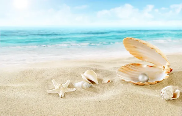 Картинка песок, море, пляж, облака, природа, жемчуг, ракушки, морская звезда
