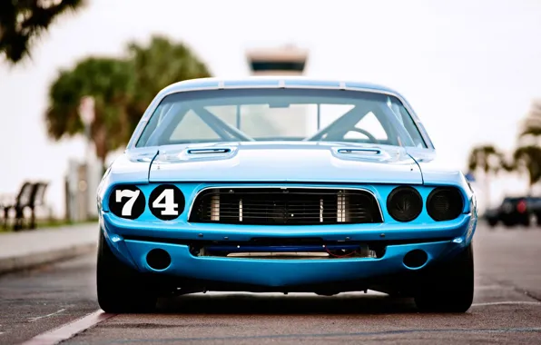 Dodge Challenger, race, 1973, blue car
