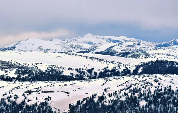 Nature, Clouds, Wood, Winter, Landscape, Mountain, Snow, Iaram