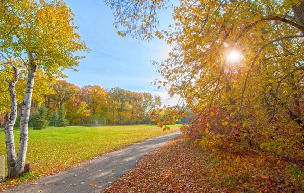 Картинка осень, лучи, свет, деревья, парк, дорожка