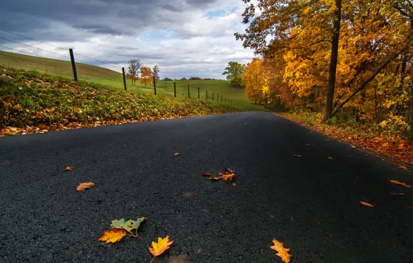 Дорога, осень, асфальт, листья, облака, деревья, природа, поля