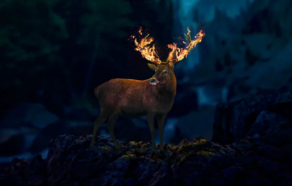 Abstract, fire, forest, night, dreams, deer, abstaction, nightforest