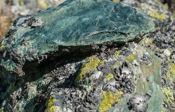 Камни, мох, Россия, Алтай