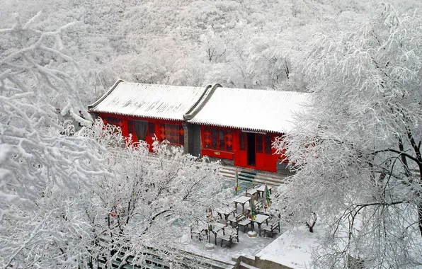 Зима, иней, снег, деревья, Китай, Пекин, Бадалин