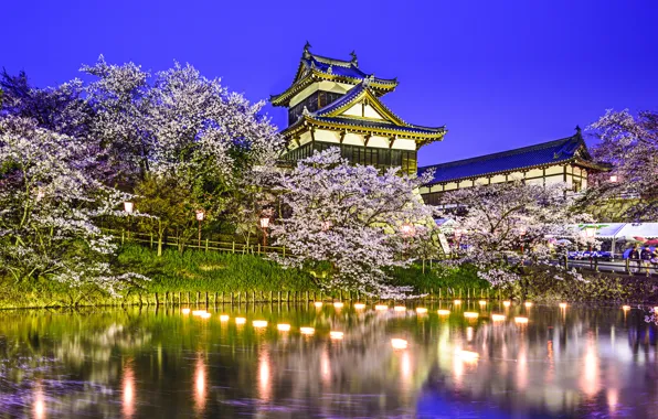 Картинка деревья, огни, пруд, парк, отражение, весна, Япония, сакура