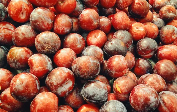 Red, fruit, purple, magenta, plums, plum
