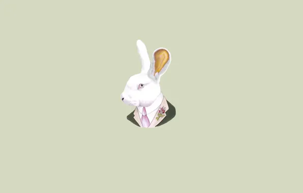 Картинка заяц, минимализм, голова, кролик, галстук, светлый фон, rabbit, ухи