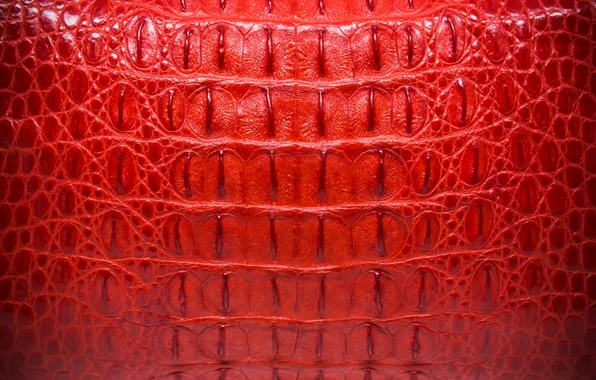 Картинка красный, фон, кожа, крокодил, red, texture, leather, crocodile