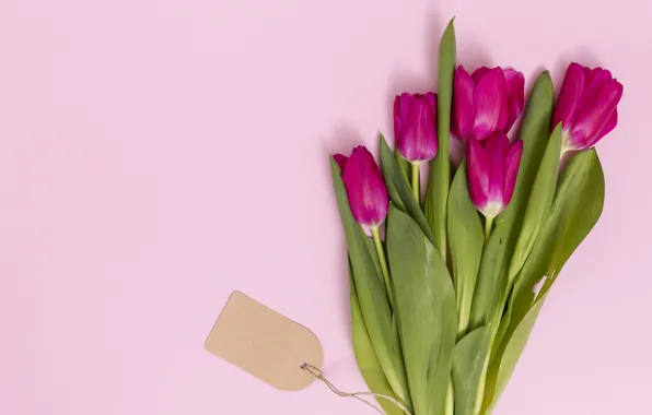 Цветы, тюльпаны, розовые, pink, flowers, tulips, spring