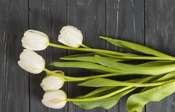 Цветы, тюльпаны, white, белые, wood, flowers, beautiful, tulips