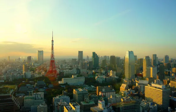 City, sunset, building