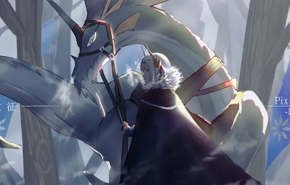Девушка, дракон, Pixiv Fantasia, Pixiv Fantasia Last Saga