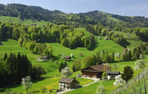 Картинка деревья, горы, Швейцария, Switzerland, nature, природа.