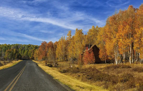 Дорога, осень, лес, небо, трава, облака, деревья, дом