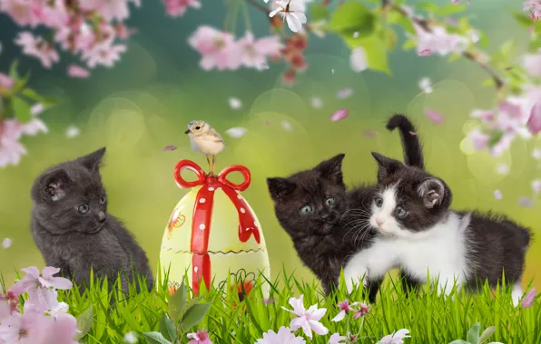 Зелень, трава, взгляд, кошки, цветы, ветки, котенок, серый