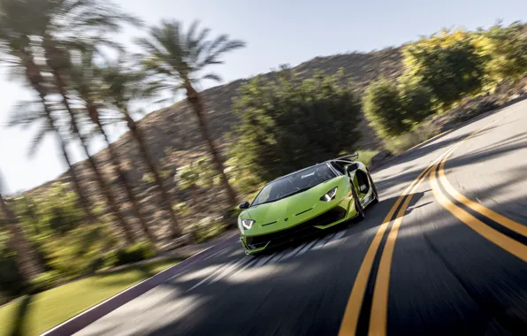 Roadster, Lamborghini, суперкар, Aventador, 2020, SVJ, Aventador SVJ