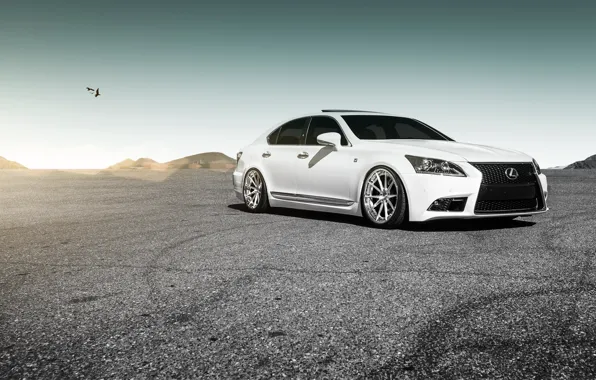 Картинка Lexus, white, wheels, LS460, frontside