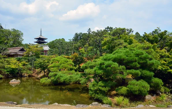 Картинка Природа, Деревья, Япония, Пруд, Парк, Japan, Nature, Park