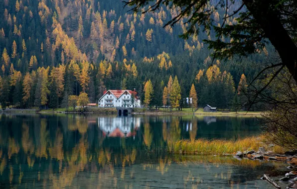 Осень, лес, ветки, озеро, дом, отражение, дерево, берег