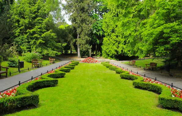 Flower, park, lawn