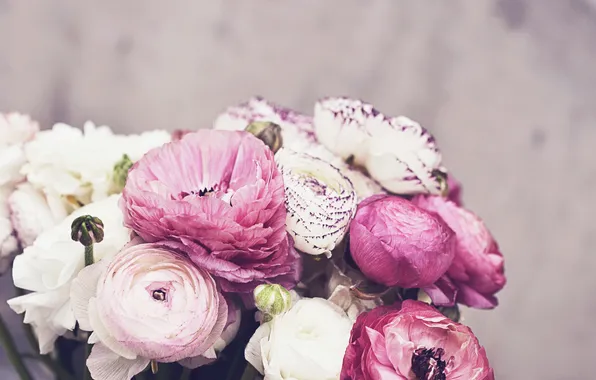 Цветы, лепестки, розовые, белые