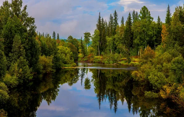 Картинка лес, небо, облака, деревья, пейзаж, озеро, отражение, река