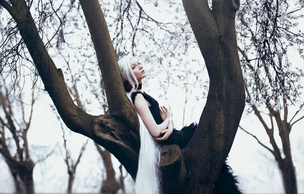 Девушка, дерево, белые волосы, длинные, Bella Kotak