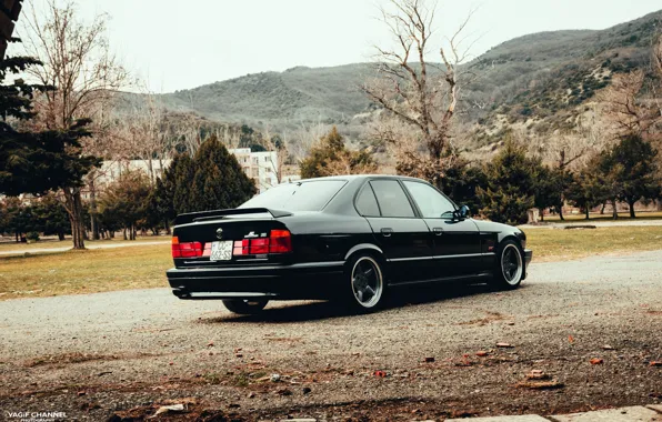 BMW, E34, AC Schnitzer, 5-Series, S5