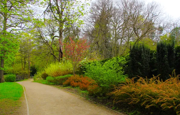 Park, spring, alley