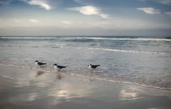 Waves, beach, sky, clouds, bokeh, reflection, horizon, foam