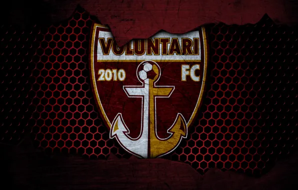 Wallpaper, sport, logo, football, Voluntari