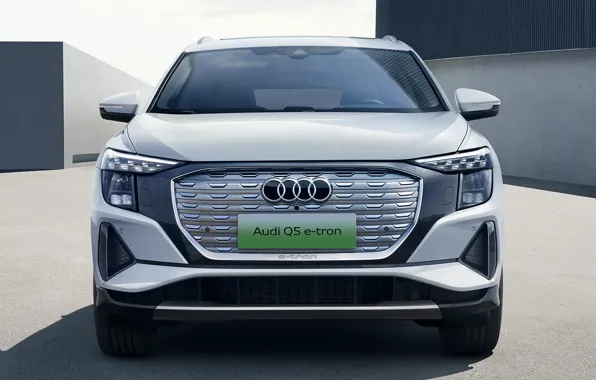 Audi Q5, E-Tron, 2022