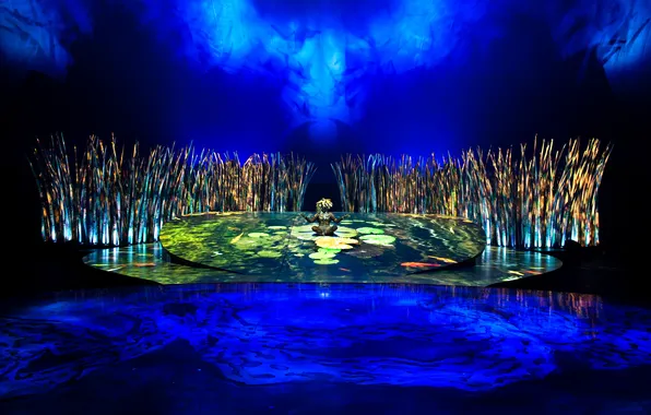 Картинка свет, сцена, декорации, Totem, Cirque du Soleil