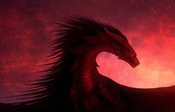 Картинка дракон, крылья, красный фон