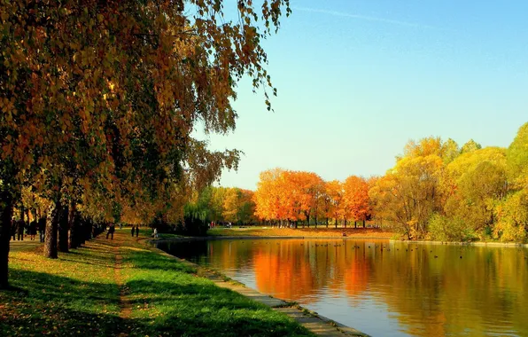 Картинка осень, небо, трава, листья, деревья, радость, озеро, пруд