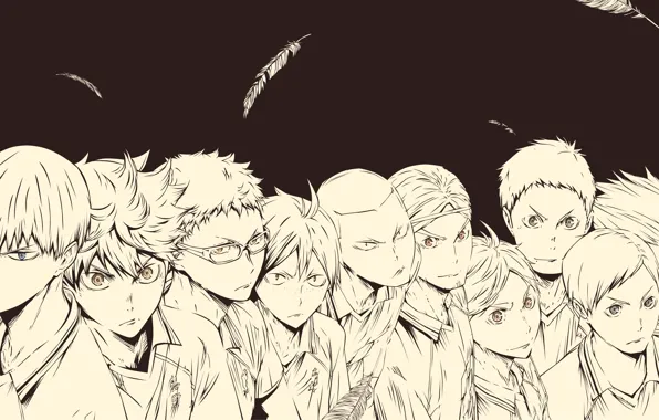 Перья, команда, вороны, парни, Волейбол, Haikyuu