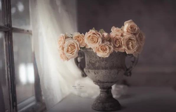 Картинка стиль, розы, окно, ваза