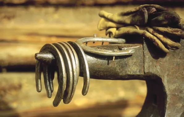Metal, anvil, horseshoes