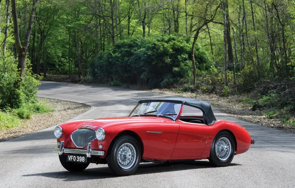 Дорога, деревья, красный, ретро, Red, автомобиль, Austin, Healey