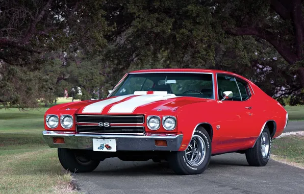Дорога, деревья, красный, купе, Chevrolet, Шевроле, Coupe, 1970