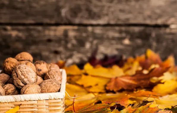 Осень, листья, грецкий орех