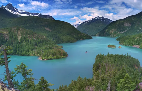 Картинка лес, горы, озеро, панорама, штат Вашингтон, Washington State, North Cascades National Park, Diablo Lake