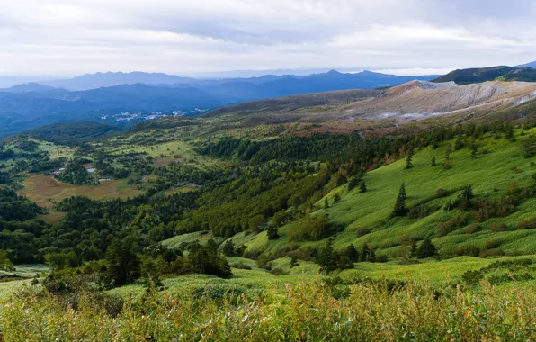 Картинка поле, лес, облака, деревья, горы, холмы, Италия, панорама