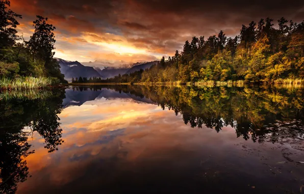Картинка лес, отражения, горы, озеро, утро, Новая Зеландия, Южный остров, Национальный парк Вестленд