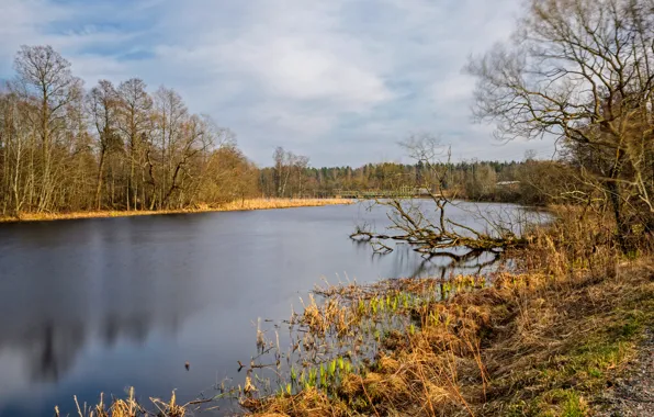 Картинка деревья, озеро, Осень, trees, nature, autumn, lake, fall