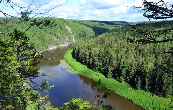 Картинка лес, небо, горы, река