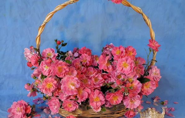 Розовый, корзина, ракушка, шиповник