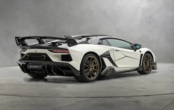 Картинка мощь, суперкар, спорткар, supercar, Lamborghini Aventador, Mansory, sports car, единственный экземпляр