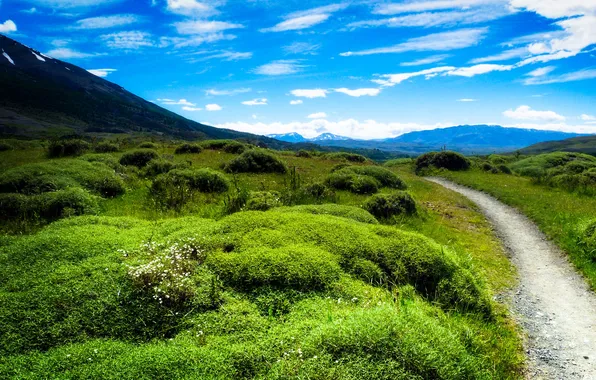 Картинка зелень, небо, трава, облака, горы, долина, тропинка, Patagonia